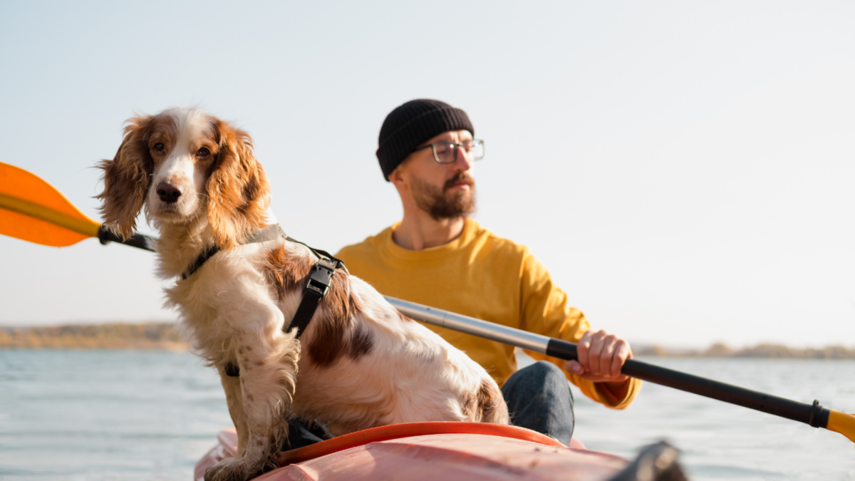 Dog with owner in a kayak